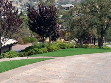 Artificial Grass Photos: Grass Turf Menifee, California Rooftop, Landscaping Ideas For Front Yard