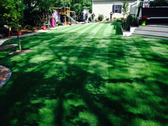 Artificial Grass Photos: Grass Turf Minnetonka Mills, Minnesota Home And Garden, Backyard Ideas