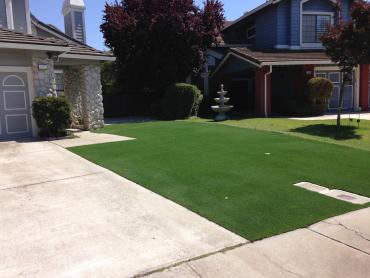 Artificial Grass Photos: Grass Turf Pembroke Pines, Florida Lawn And Garden, Front Yard