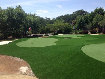 Artificial Grass Photos: Grass Turf Torrance, California Putting Green Grass, Landscaping Ideas For Front Yard