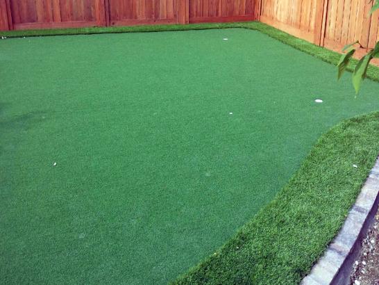 Artificial Grass Photos: Grass Turf West Hartford, Connecticut Landscape Design, Backyard Garden Ideas