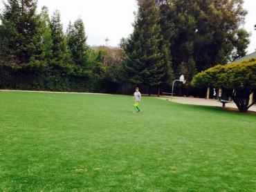 Artificial Grass Photos: Grass Turf Yuma, Arizona Playground Turf, Parks