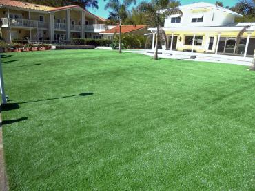 Artificial Grass Photos: Green Lawn Athens, Georgia Rooftop, Swimming Pool Designs