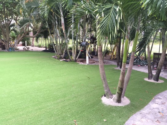 Artificial Grass Photos: Green Lawn Cathedral City, California Landscaping, Commercial Landscape