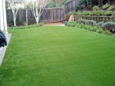 Artificial Grass Photos: Green Lawn Enterprise, Nevada Garden Ideas, Backyard Garden Ideas