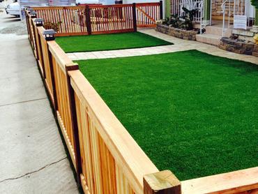 Artificial Grass Photos: Green Lawn Federal Way, Washington Roof Top, Front Yard Landscape Ideas