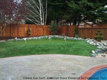 Artificial Grass Photos: Green Lawn Indianapolis, Indiana Design Ideas, Backyard Garden Ideas