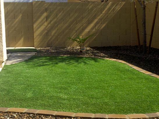 Artificial Grass Photos: Green Lawn Irvington, New Jersey Landscape Ideas, Small Backyard Ideas