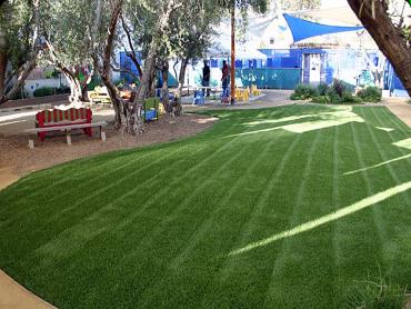 Artificial Grass Photos: Green Lawn Reading, Pennsylvania Landscape Photos, Commercial Landscape