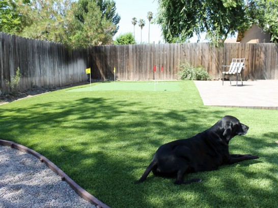 Artificial Grass Photos: Green Lawn Shoreline, Washington City Landscape, Dogs Runs