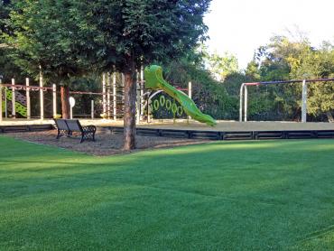 Artificial Grass Photos: Green Lawn Springfield, Massachusetts Garden Ideas, Parks