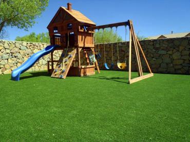 Artificial Grass Photos: Green Lawn West Palm Beach, Florida Backyard Deck Ideas, Backyard Designs