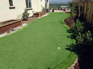 Artificial Grass Photos: Green Lawn Westminster, Colorado Landscape Rock, Backyard Landscaping Ideas