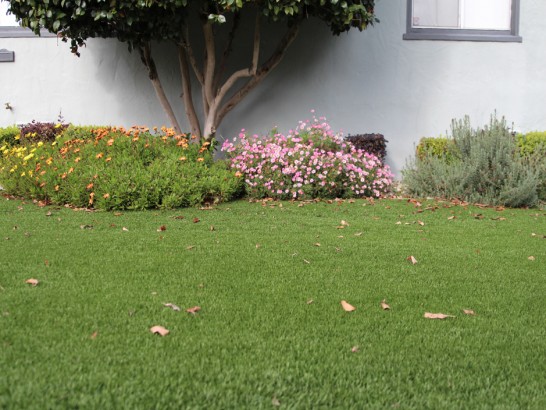 Artificial Grass Photos: How To Install Artificial Grass Auburn, Alabama Roof Top, Front Yard