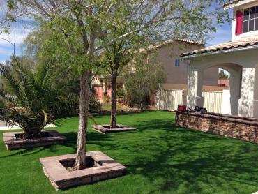 Artificial Grass Photos: How To Install Artificial Grass Denton, Texas Landscaping Business, Front Yard Landscaping Ideas