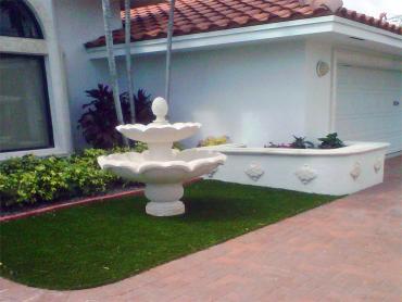 Artificial Grass Photos: How To Install Artificial Grass Saint Petersburg, Florida Lawns, Front Yard Design