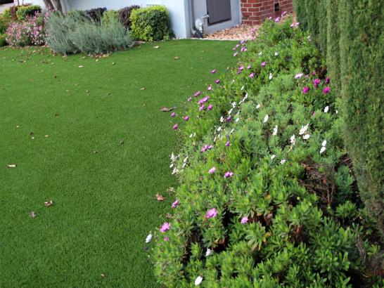 Artificial Grass Photos: Installing Artificial Grass Gardena, California Garden Ideas, Front Yard Landscaping Ideas