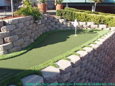 Artificial Grass Photos: Installing Artificial Grass Philadelphia, Pennsylvania Roof Top, Backyards