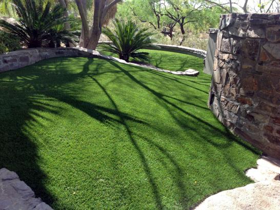 Artificial Grass Photos: Lawn Services Brooklyn Park, Minnesota Dog Parks