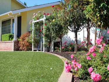 Artificial Grass Photos: Lawn Services Cicero, Illinois Landscape Ideas, Front Yard Ideas