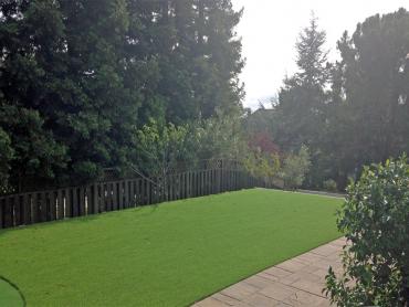 Artificial Grass Photos: Lawn Services Cranston, Rhode Island Backyard Playground, Backyard Garden Ideas