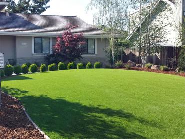 Artificial Grass Photos: Lawn Services Eugene, Oregon Landscaping Business, Front Yard Design