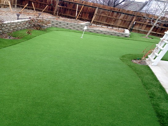 Artificial Grass Photos: Lawn Services Fountain Valley, California Landscape Ideas, Beautiful Backyards