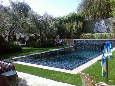 Artificial Grass Photos: Lawn Services Germantown, Maryland Rooftop, Natural Swimming Pools