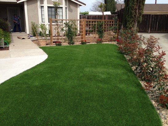 Artificial Grass Photos: Lawn Services Lakewood, Ohio City Landscape, Front Yard Ideas