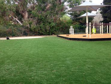 Artificial Grass Photos: Lawn Services Lewisville, Texas Lacrosse Playground