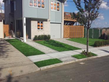Artificial Grass Photos: Lawn Services Newark, New Jersey Gardeners, Front Yard Landscaping Ideas