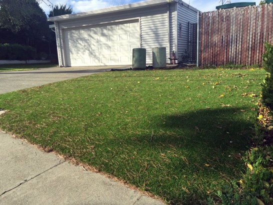 Artificial Grass Photos: Lawn Services Novi, Michigan Paver Patio, Front Yard Design