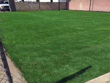 Artificial Grass Photos: Lawn Services Pompano Beach, Florida Backyard Sports