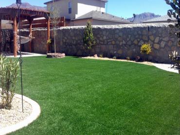 Artificial Grass Photos: Lawn Services Round Rock, Texas Garden Ideas, Backyard Design