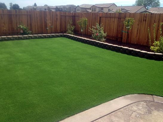 Artificial Grass Photos: Lawn Services Santa Fe, New Mexico Paver Patio, Backyard Ideas