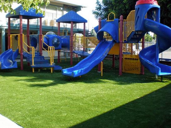 Artificial Grass Photos: Lawn Services Springfield, Oregon Lawns, Commercial Landscape