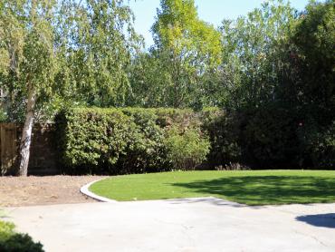 Artificial Grass Photos: Lawn Services Tracy, California Lawn And Garden, Backyard Landscape Ideas