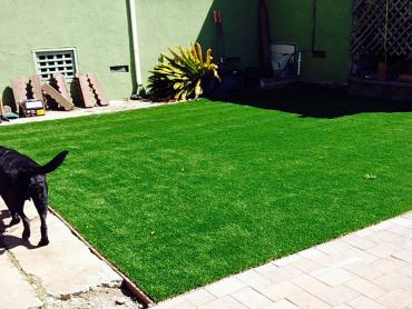 Artificial Grass Photos: Lawn Services Waukegan, Illinois Indoor Dog Park, Backyard