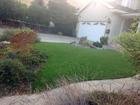 Artificial Grass Photos: Lawn Services West Lynchburg, Virginia Roof Top, Small Front Yard Landscaping