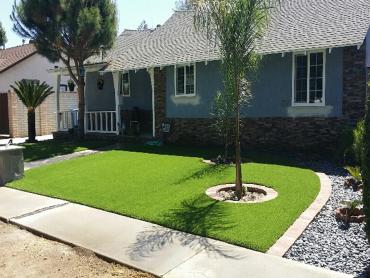 Artificial Grass Photos: Outdoor Carpet BloomingtonMn, Minnesota Landscape Photos, Small Front Yard Landscaping