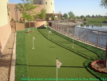 Artificial Grass Photos: Outdoor Carpet Brooklyn, New York Paver Patio, Beautiful Backyards