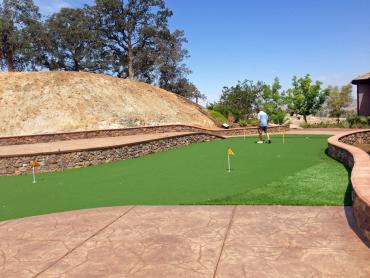 Artificial Grass Photos: Outdoor Carpet Compton, California Putting Green Carpet, Backyard Makeover