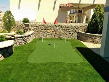 Artificial Grass Photos: Outdoor Carpet Erie, Pennsylvania Putting Green Carpet, Backyard Ideas