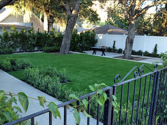 Artificial Grass Photos: Outdoor Carpet Fountainebleau, Florida Garden Ideas, Front Yard