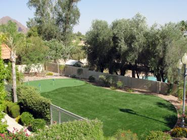 Outdoor Carpet McAllen, Texas Office Putting Green, Backyard artificial grass