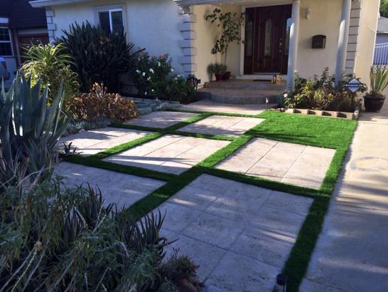 Artificial Grass Photos: Outdoor Carpet Melbourne, Florida Design Ideas, Landscaping Ideas For Front Yard
