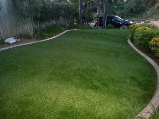 Artificial Grass Photos: Outdoor Carpet Niagara Falls, New York Landscape Rock, Front Yard Ideas