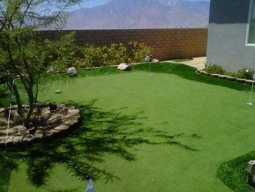 Artificial Grass Photos: Outdoor Carpet Odessa, Texas Roof Top, Backyard Ideas