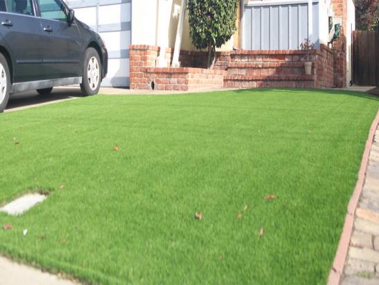 Artificial Grass Photos: Outdoor Carpet Pasco, Washington Landscaping Business, Front Yard Landscape Ideas