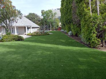 Artificial Grass Photos: Outdoor Carpet Roanoke, Virginia Lawns, Front Yard Design
